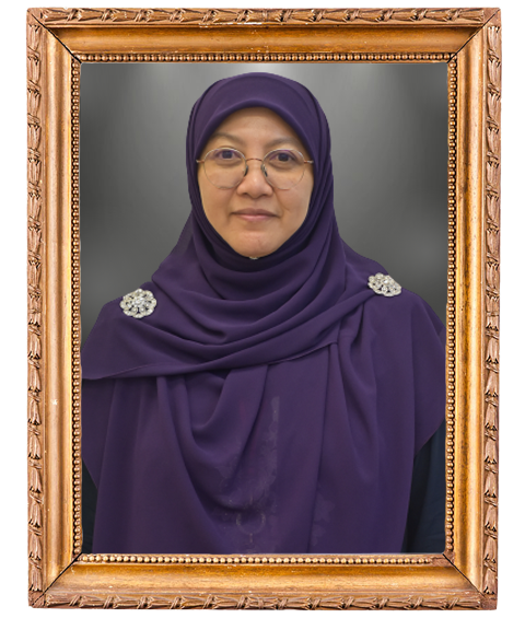 Ketua Pegawai Maklumat MSNM
